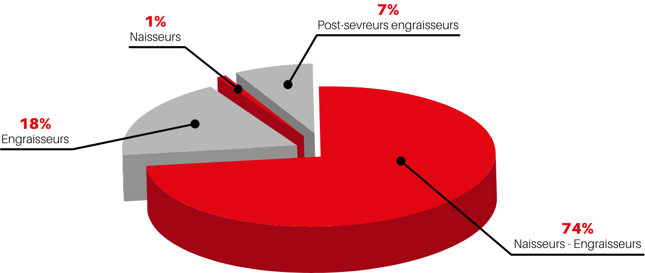 seretal grppo graphe repartition